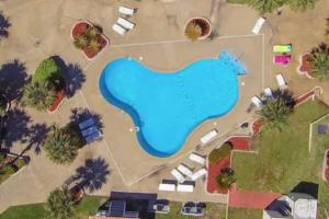 an overhead view of a yard with a large blue blob at Seaside Treasure in Biloxi