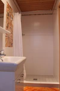 a bathroom with a shower and a sink at Liptovsky Zrub in Gôtovany