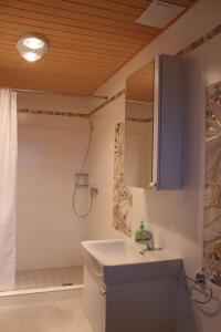 a bathroom with a sink and a shower at Liptovsky Zrub in Gôtovany