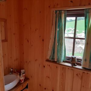 a bathroom with a sink and a window at Eco Accommodation Cornflower in Craven Arms