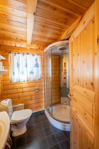 a bathroom with a shower and a toilet and a sink at Rorbua Havfruen in Sørvågen