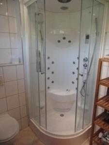 a bathroom with a shower and a toilet at Am Weinberg in Bernkastel-Kues