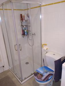 a bathroom with a shower and a toilet at Damm 10 Appartement in Peine