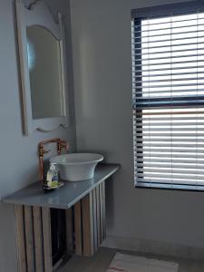 bagno con lavandino e specchio su un bancone di Silver Oaks Airbnb a Langebaan