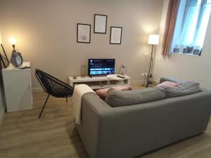 a living room with a gray couch and a tv at Coeur de ville cosy in Morlaix