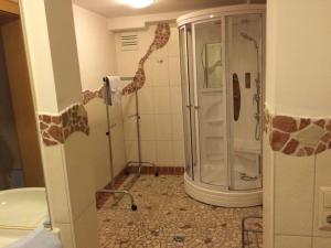 a bathroom with a shower with giraffes on the wall at Familienferienwohnung Manuela Scherer in Neukirchen am Großvenediger