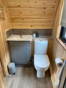 a small bathroom with a toilet and a sink at Mowbray Cottages & Glamping in South Kilvington