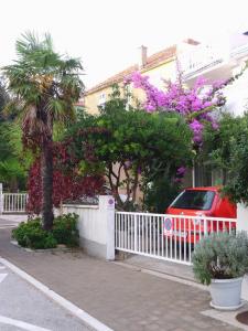 Zahrada ubytování Apartments Suri