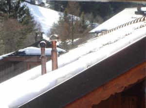 Chalet Suisse Bed and Breakfast að vetri til