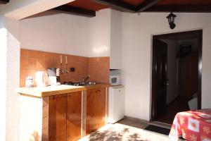 Kuchyňa alebo kuchynka v ubytovaní Studio Umag 7666a