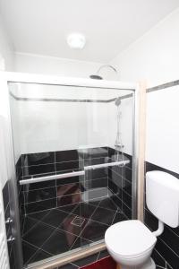 a bathroom with a shower and a toilet at Apartments with a parking space Valbandon, Fazana - 2214 in Fondole