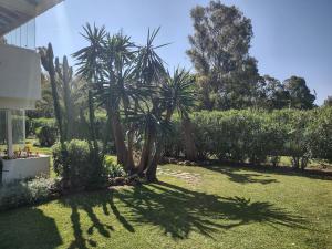 Ogród w obiekcie Puerto Banus Apartment near beachfront, big sunny terrace, pool, tennis court, parking & movies projector