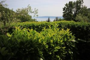 Fotografie z fotogalerie ubytování Apartments with a parking space Moscenicka Draga, Opatija - 7741 v destinaci Mošćenička Draga