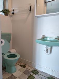 a bathroom with a green toilet and a sink at Citadel Suite in Port Macquarie