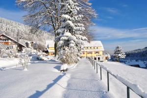 Gasthof-Pension Berghof saat musim dingin