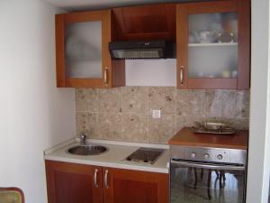 eine kleine Küche mit einer Spüle und einem Herd in der Unterkunft Apartments Ivory in Dubrovnik