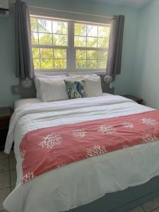 a bedroom with a large bed with a window at Beautiful Villa just steps away from the beach! in Georgetown