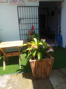 a plant in a wooden pot next to a bench at Hostal My House Your House in David