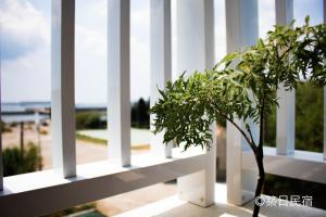 Zahrada ubytování Chikubi Homestay