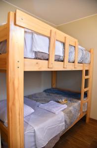 two bunk beds in a room with a cat on the bottom bunk at Apartamento Hermoso en Residencial - Huacachina in Ica