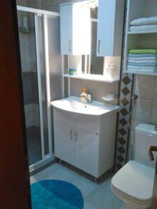 a bathroom with a sink and a shower and a toilet at T&A Apartments in Ohrid