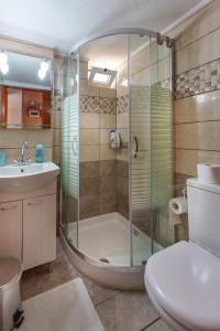 a bathroom with a shower and a toilet and a sink at Hara's Apartments in Kastrí