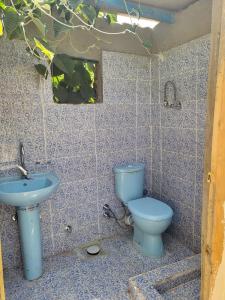 a bathroom with a blue toilet and a sink at Modos place in Luxor