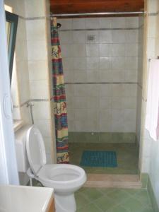 a bathroom with a toilet and a shower at Giamia Villas in Sulmona