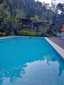 a swimming pool with blue tiles in front of a house at Lumiar Eco Lodge - Chalé Pedra Riscada in Nova Friburgo