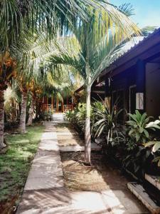 a palm tree in front of a house at La Paparrucha Bali in Pemuteran