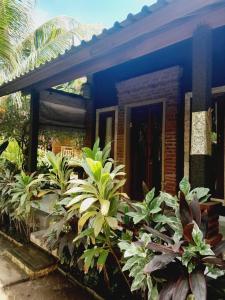 a blue house with plants in front of it at La Paparrucha Bali in Pemuteran