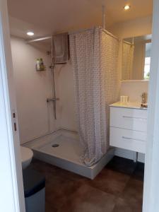 een badkamer met een douche, een toilet en een wastafel bij Chalet climatisé et chauffé a Faverges de la Tour in Faverges-de-la-Tour