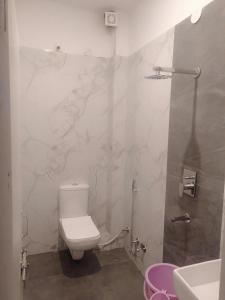uma casa de banho branca com um WC e um chuveiro em Full View Villa em Udaipur