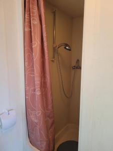 bagno con doccia con tenda rosa di Eexter bosparel caravan 222 a Eext