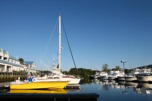 a yellow sailboat docked in a marina with other boats at Harbourgate Marina Club in Myrtle Beach