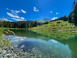 Fotografia z galérie ubytovania Haus Waltl v destinácii Sankt Johann in Tirol