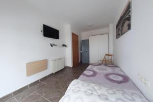 Televízia a/alebo spoločenská miestnosť v ubytovaní Apartament Bisaura de Ter