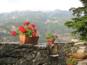 three potted flowers on a stone wall with mountains in the background at Romantic Italian Castle at the foot of the Alps in Settimo Vittone