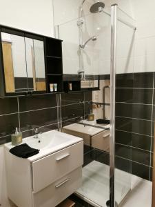 La salle de bains est pourvue d'un lavabo et d'une douche. dans l'établissement gîte Cosy Green 2, à Chevincourt