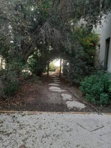 um jardim com uma árvore e um caminho em A Spot on the Hill em Umm el Shuf