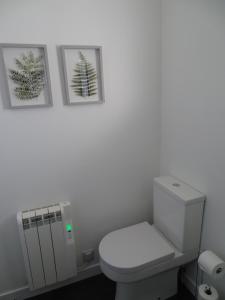 a bathroom with a toilet and two pictures on the wall at Discover Lewis and Harris in Stornoway