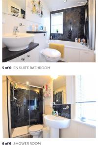 een badkamer met een wastafel, een toilet en een doucheruimte bij The Meridan Lodge - Platinum 2024 Season in Clacton-on-Sea