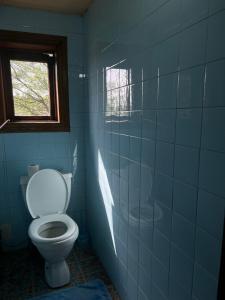 a blue bathroom with a toilet and a window at MARIMO in Kutaisi