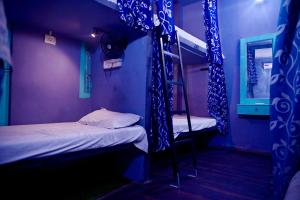 two bunk beds in a room with purple walls at BANARAS REST HOUSE in Varanasi