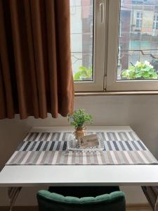 a table in front of a window with a plant on it at Budapest Digital Nomad Friendly Top Centre Apt in Sofia