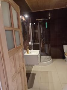 La salle de bains est pourvue d'une douche, d'un lavabo et de toilettes. dans l'établissement apartamentyDvorskie, à Nowy Sącz