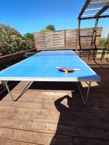 stół do ping ponga z piłeczką do ping ponga w obiekcie Le Cosy Occitan villa chaleureuse indépendante baignoire terrasse jardin w Carcassonne