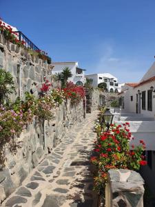 un mur en pierre avec des fleurs et une rue avec des maisons dans l'établissement Very romantic seaview appartment with warm pool, à Patalavaca