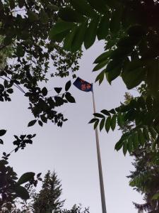 uma bandeira arvorando em cima de um poste com árvores em Villa Lilja em Muurame