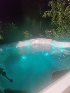una piscina notturna con una zattera di Villa Lilja a Muurame